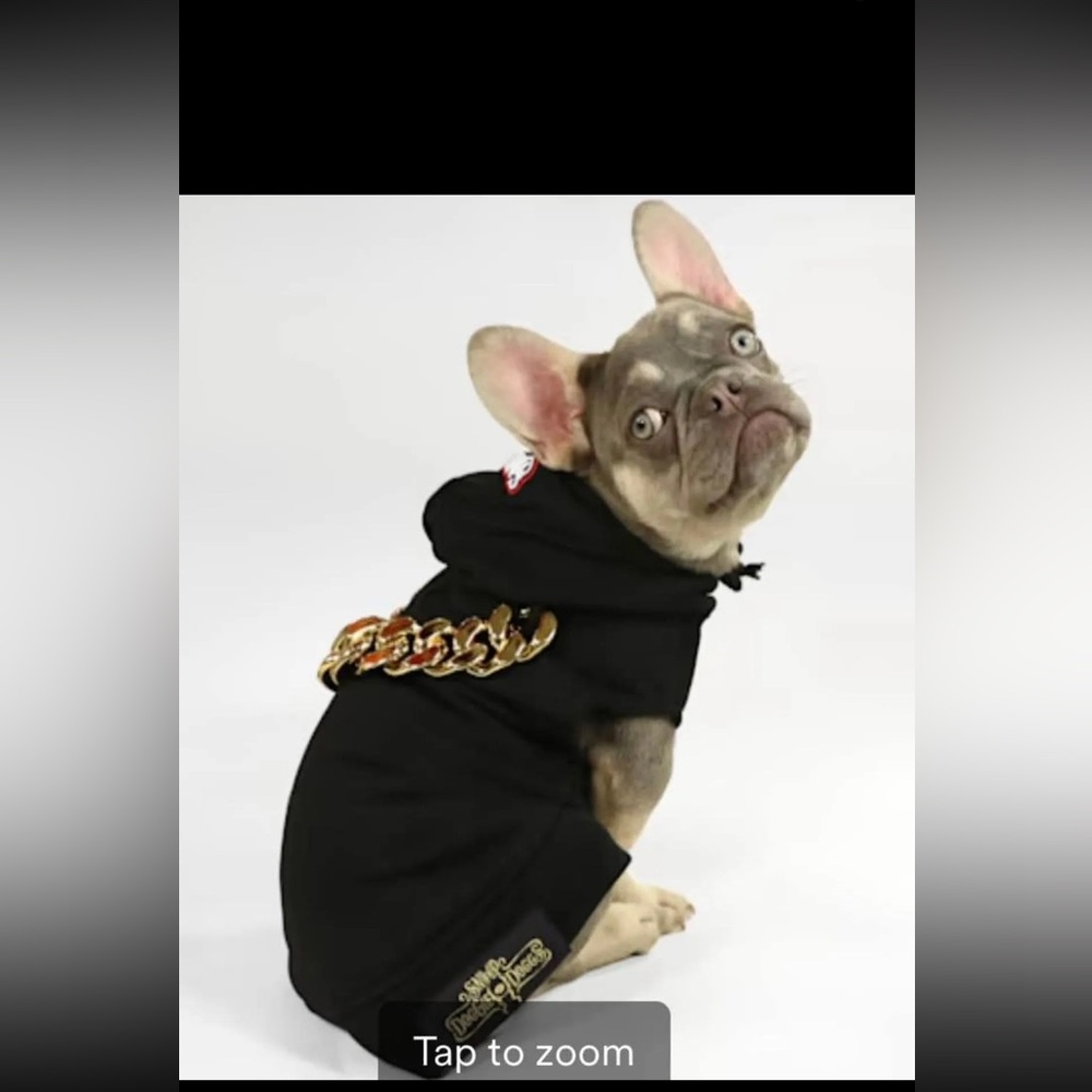 Snoop dog